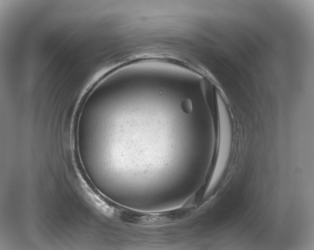 X0000080190795200612081426