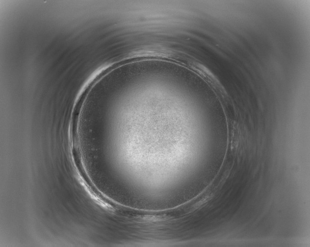 X0000080190796200612081426