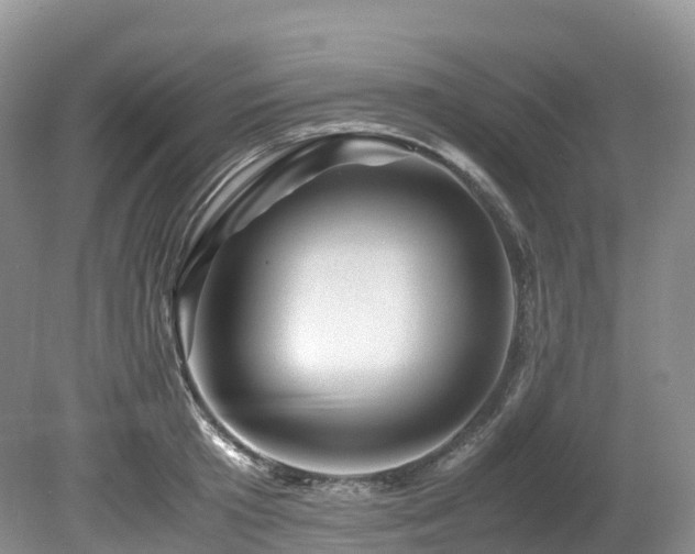 X0000080190801200612081426