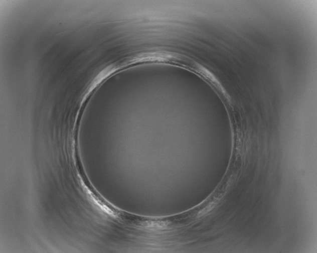 X0000080190802200612081426