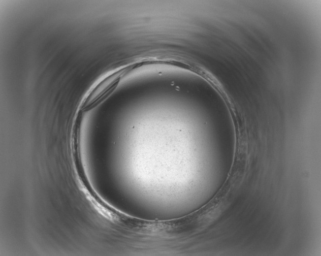 X0000080190803200612081426
