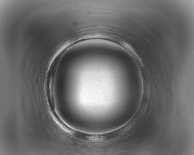 X0000080190805200612081426