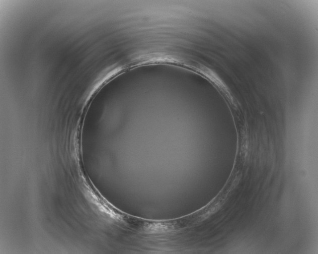X0000080190806200612081426