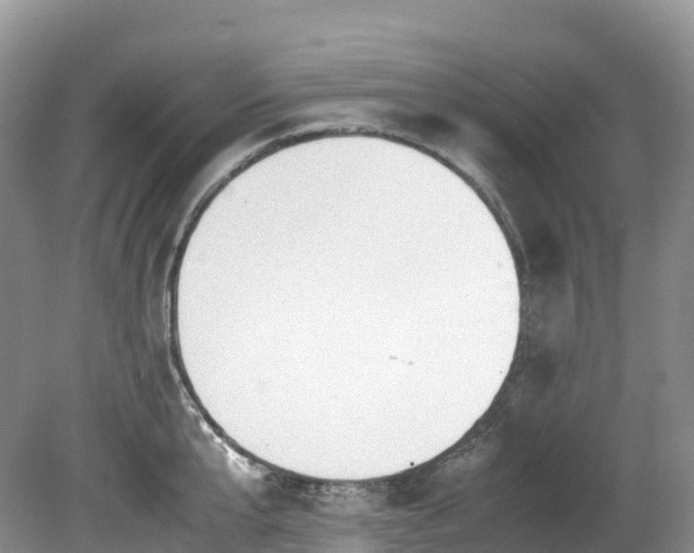 X0000080190807200612081426
