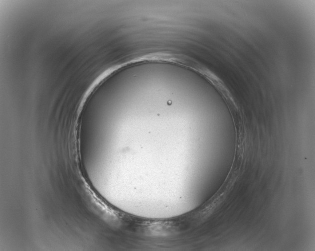 X0000080190808200612081426