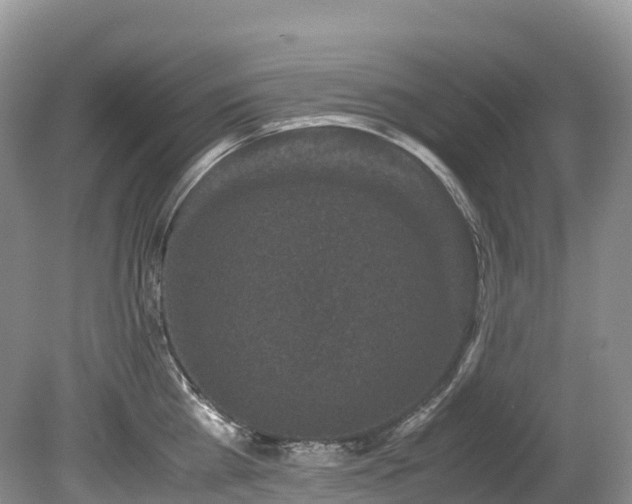 X0000080190809200612081426