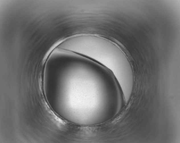 X0000080190812200612081426