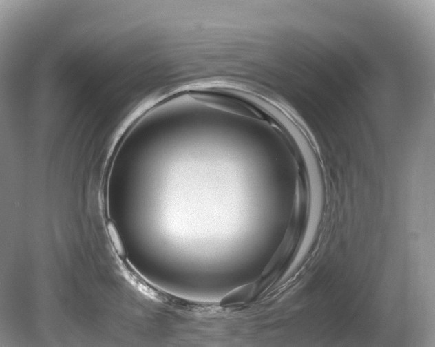 X0000080190813200612081426