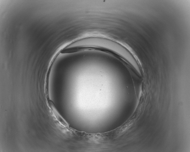 X0000080190815200612081425