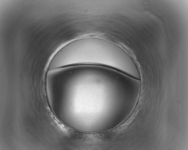 X0000080190816200612081425