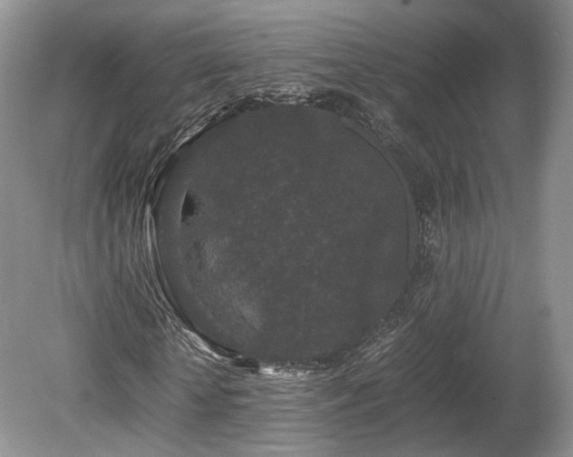 X0000080190818200612081425