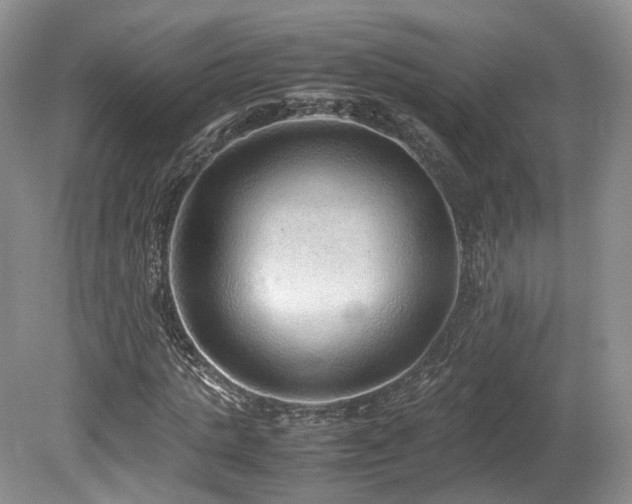 X0000080190821200612081425