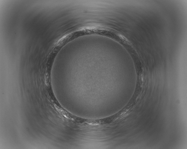 X0000080190822200612081425