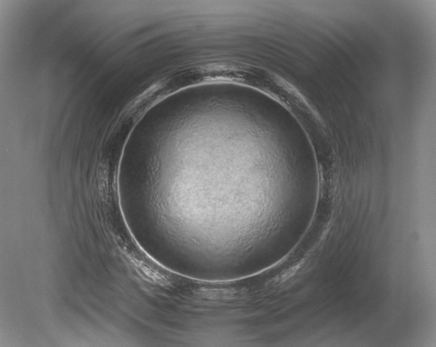 X0000080190825200612081425