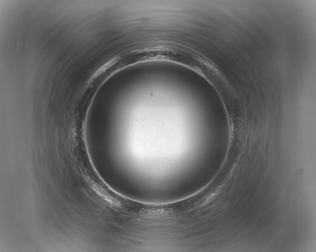 X0000080190826200612081425