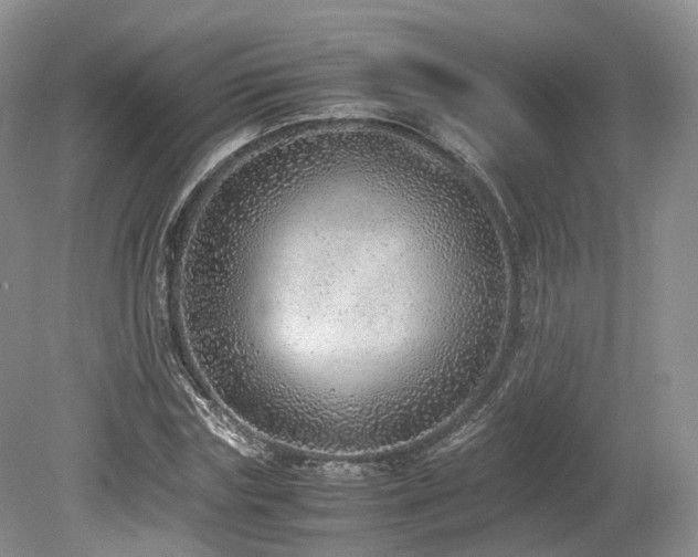 X0000080190827200612081425