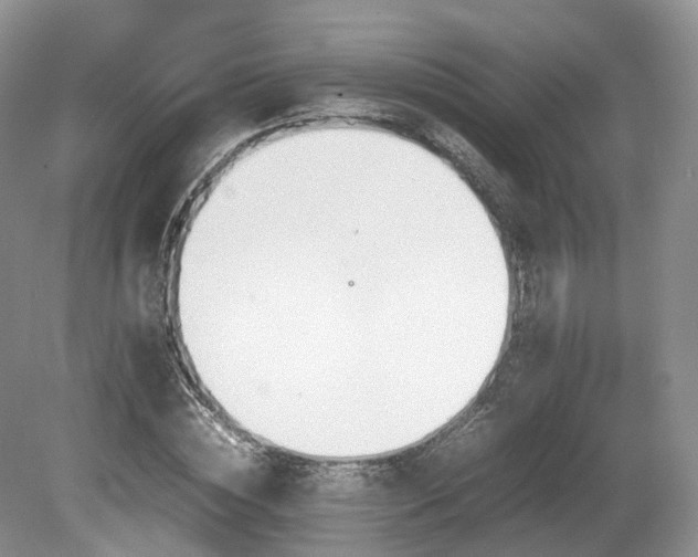 X0000080190828200612081425