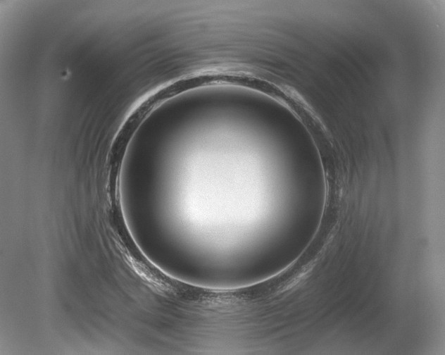 X0000080190830200612081425