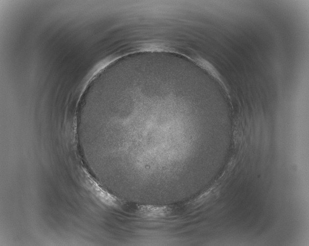 X0000080190831200612081425