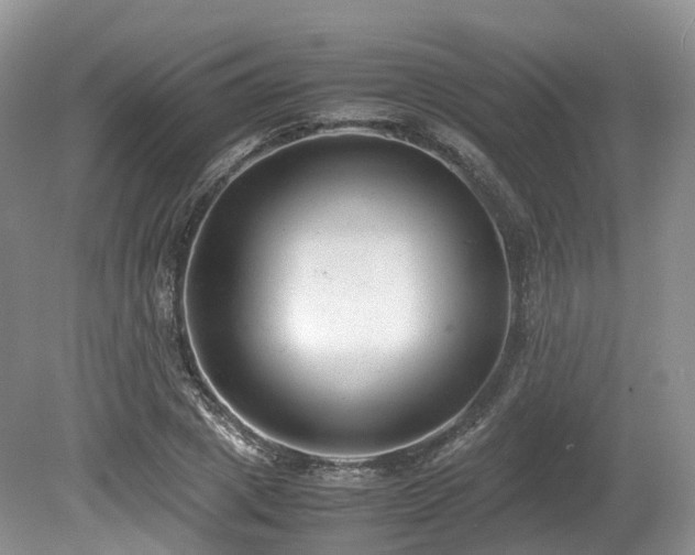 X0000080190833200612081425
