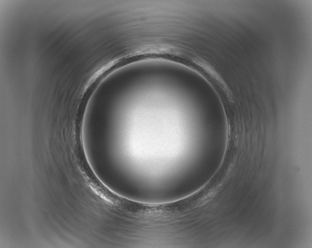 X0000080190834200612081425