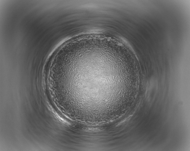 X0000080190835200612081425