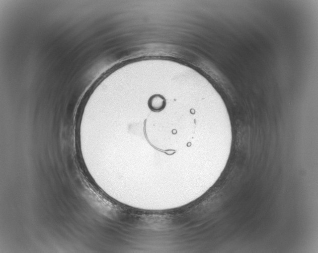 X0000080190836200612081425