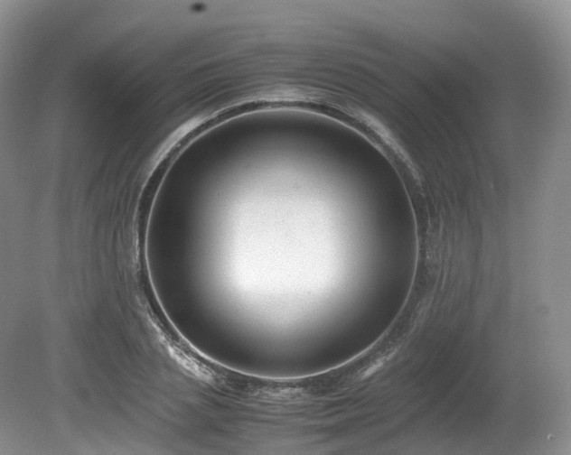 X0000080190837200612081425