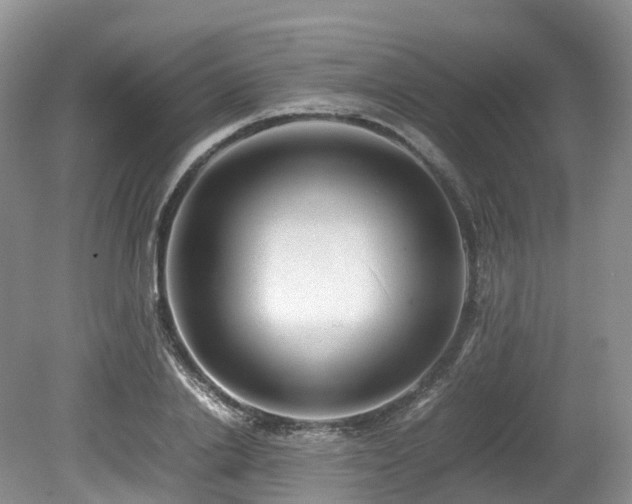 X0000080190838200612081425