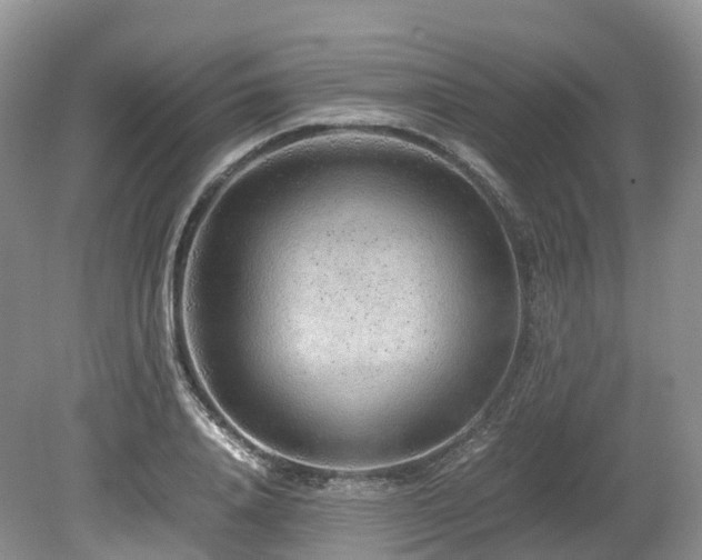 X0000080190840200612081425