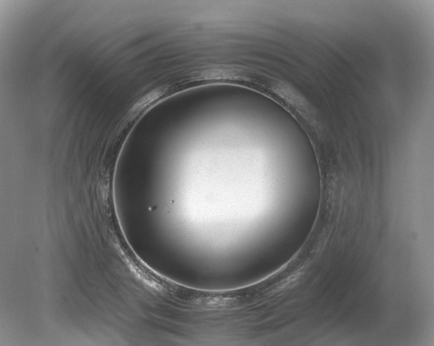 X0000080190841200612081425