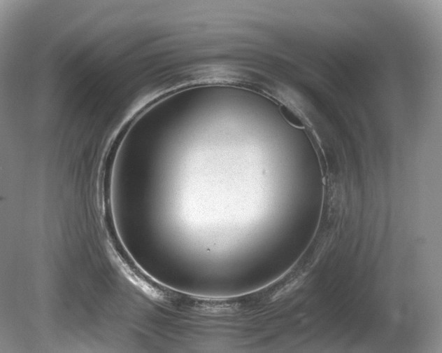 X0000080190843200612081425