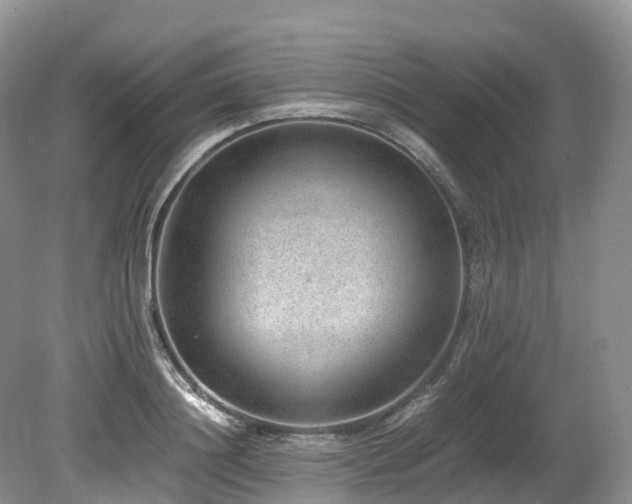 X0000080190844200612081425