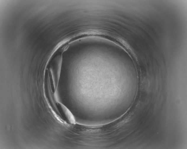X0000080190845200612081425