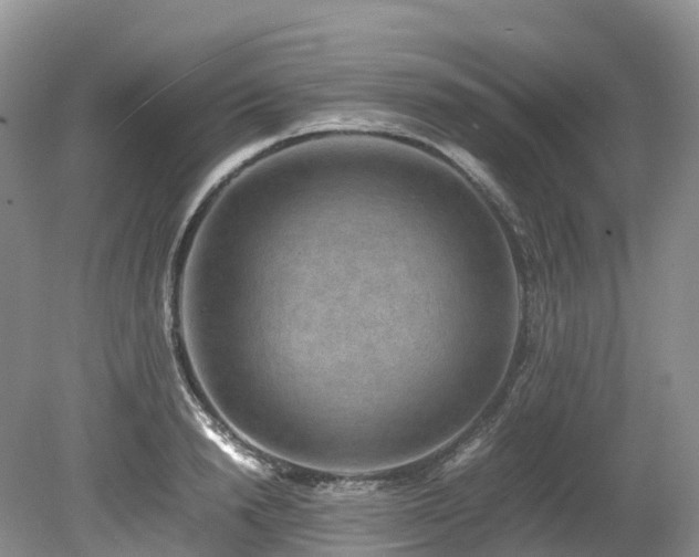 X0000080190846200612081425