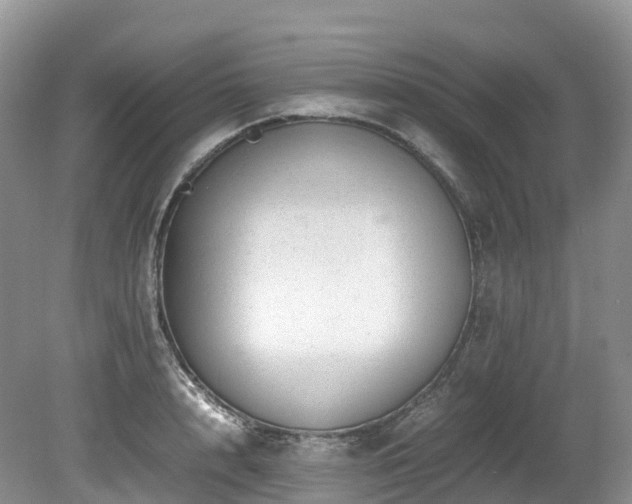 X0000080190848200612081425