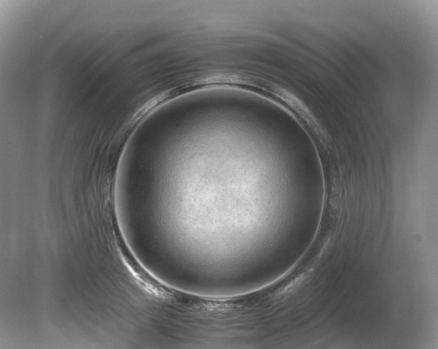 X0000080190849200612081425