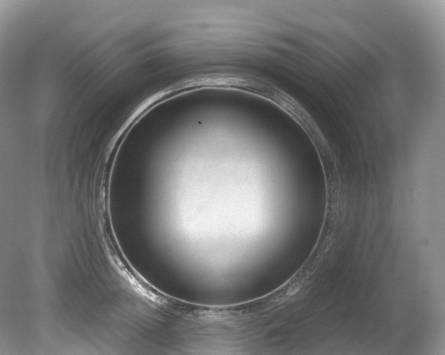 X0000080190852200612081425