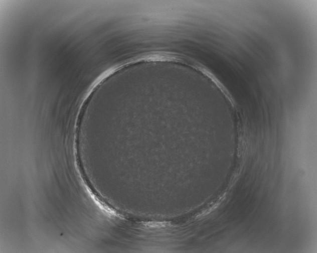 X0000080190853200612081425