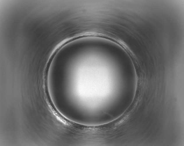 X0000080190854200612081425