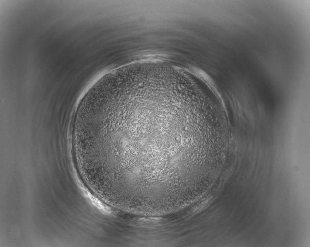 X0000080190859200612081425