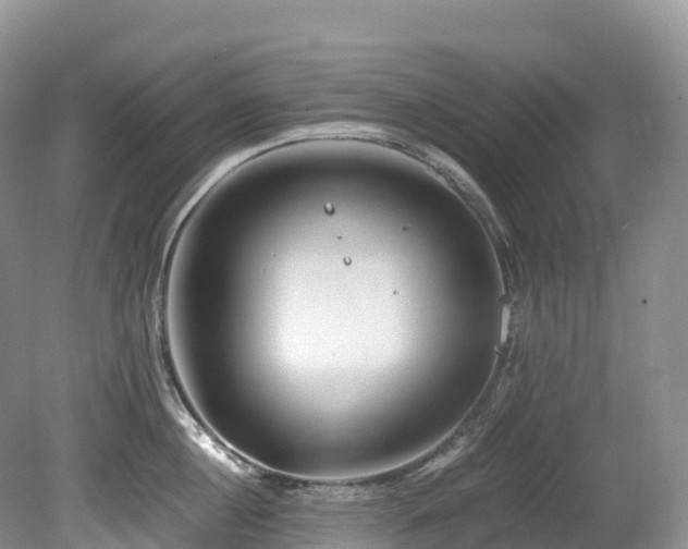 X0000080190860200612081425
