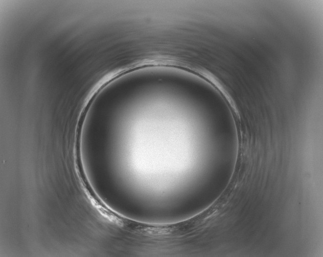 X0000080190861200612081425
