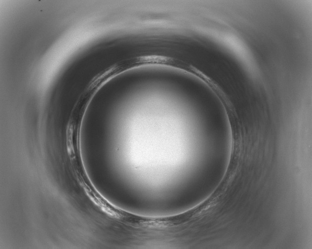 X0000080190862200612081425