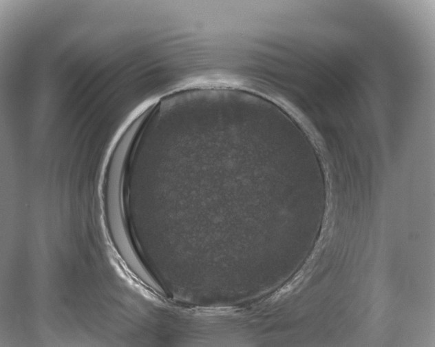 X0000080190864200612081425