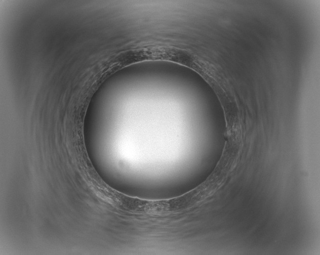 X0000080190865200612081425
