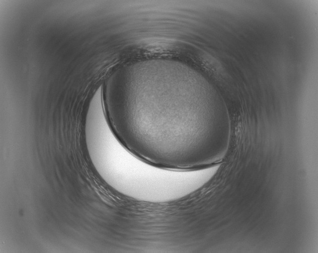 X0000080190868200612081425
