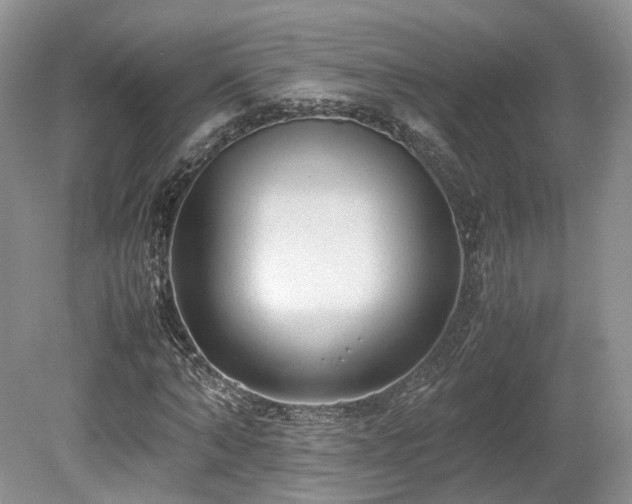 X0000080190870200612081425