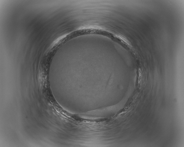 X0000080190872200612081425
