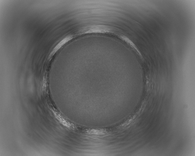 X0000080190874200612081424